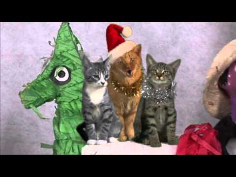 JINGLE CATS Meowy Navidad