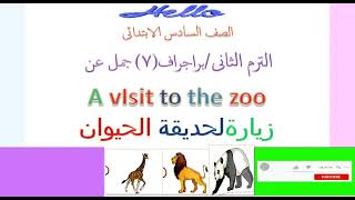 براجراف عن  زيارة إلى حديقة الحيوان Avisit to the zoo للصف السادس الابتدائى -الترم الثانى