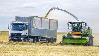 XXL ENSILAGE DE LUZERNE ! 15km/h ! 💨 CLAAS Jaguar 970