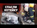 Спасатели реанимировали кота, которого вытащили из горящей квартиры