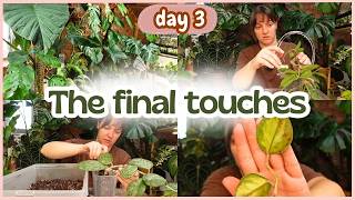 Day 3 of my plant room revamp🪴Rescues, repots and updates