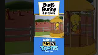 Looney Tunes - Fowl Weather