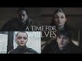(GoT) House Stark | A Time for Wolves