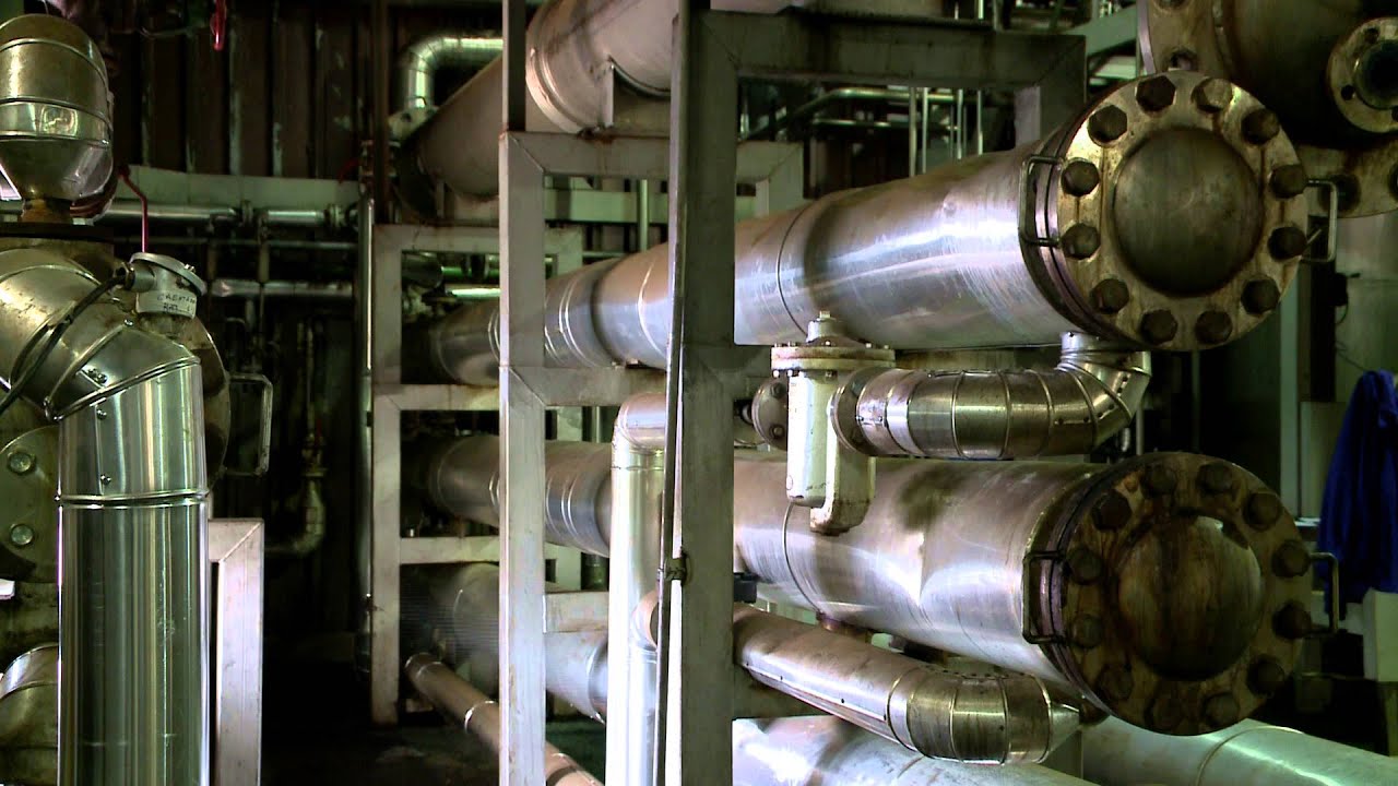 Olam Coffee - Cafe Seda, 2013