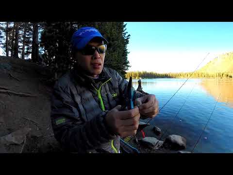 Pesca alla trota Carolina Rig Tutorial @ Lake Mary, CA