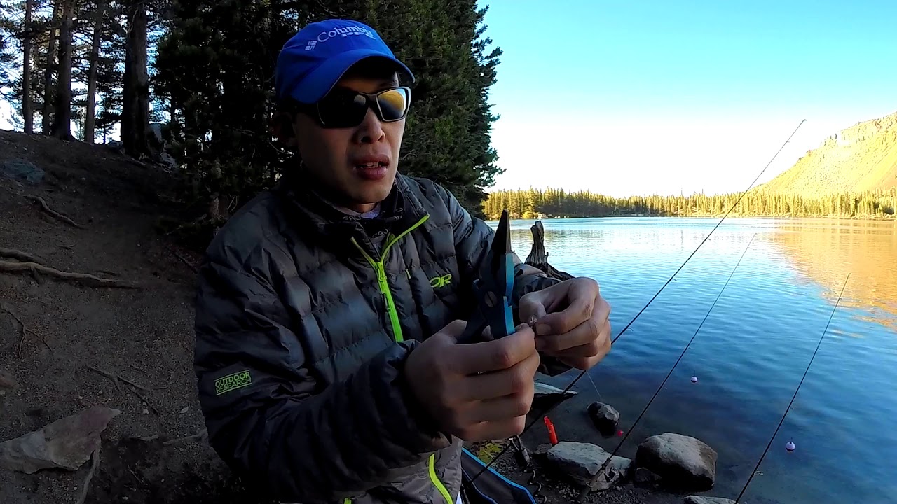 Trout Fishing Carolina Rig Tutorial Lake Mary, CA YouTube