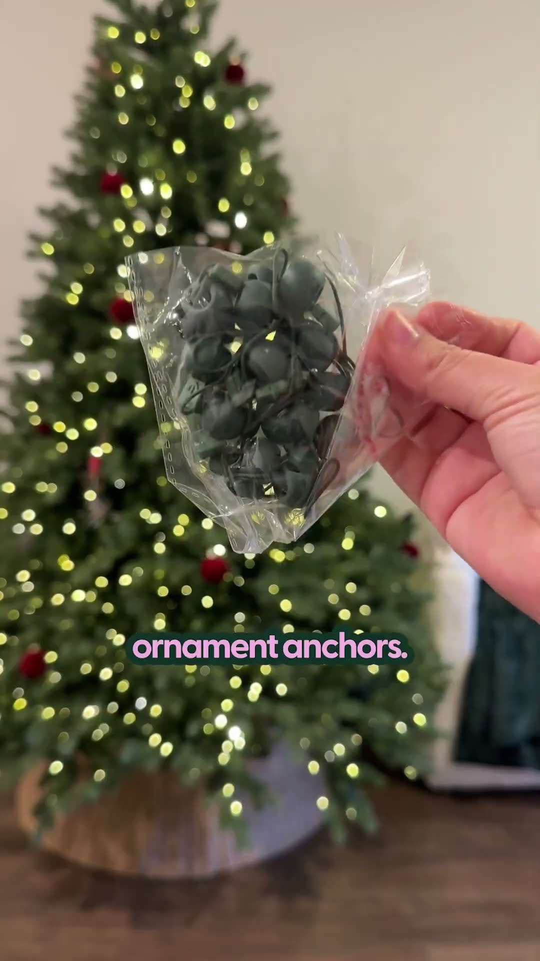 Top 3 Pet-Safe Christmas Decor Hacks | The Pack