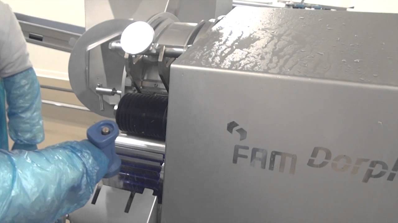 Cleaning Dorphy - YouTube