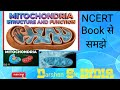 Mitochondria क्या होता है समझिए #Biology #shorts #viral #trending #freeeducation #DarshanSirINDIA 