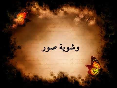 شارة مسلسل سيرة الحب