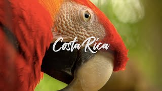 Costa Rica - 4k Epic Cinematic - Nature, Wildlife, Surfing - Travel Film - 2021