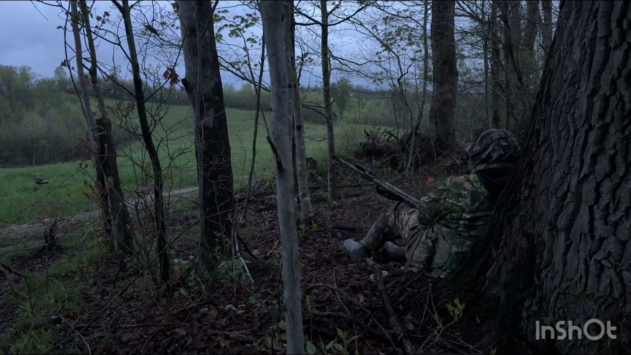 Light purr with the slate call