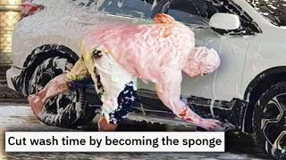 r/Sh*ttylifeprotips | be the sponge you want to see in the world