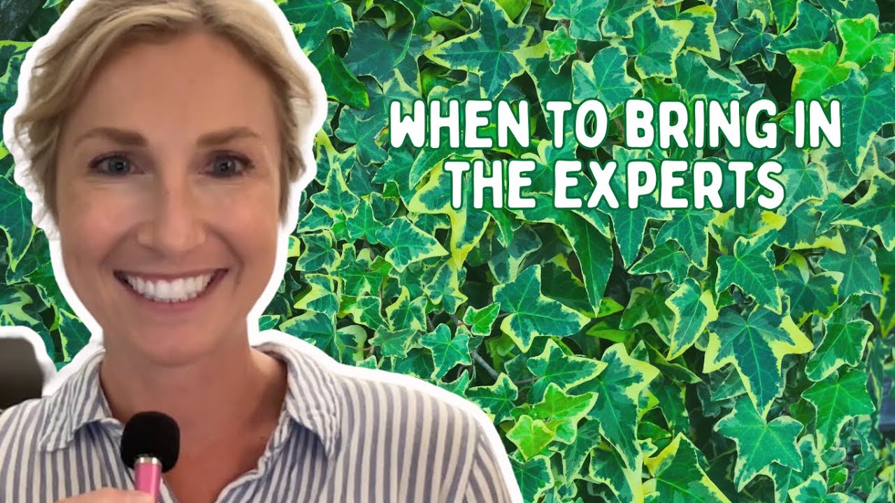 Bring The Experts In When to Bring in an Expert - YouTube