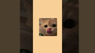 Tatarka Altyn Super Slowed Boruto Uchimaki