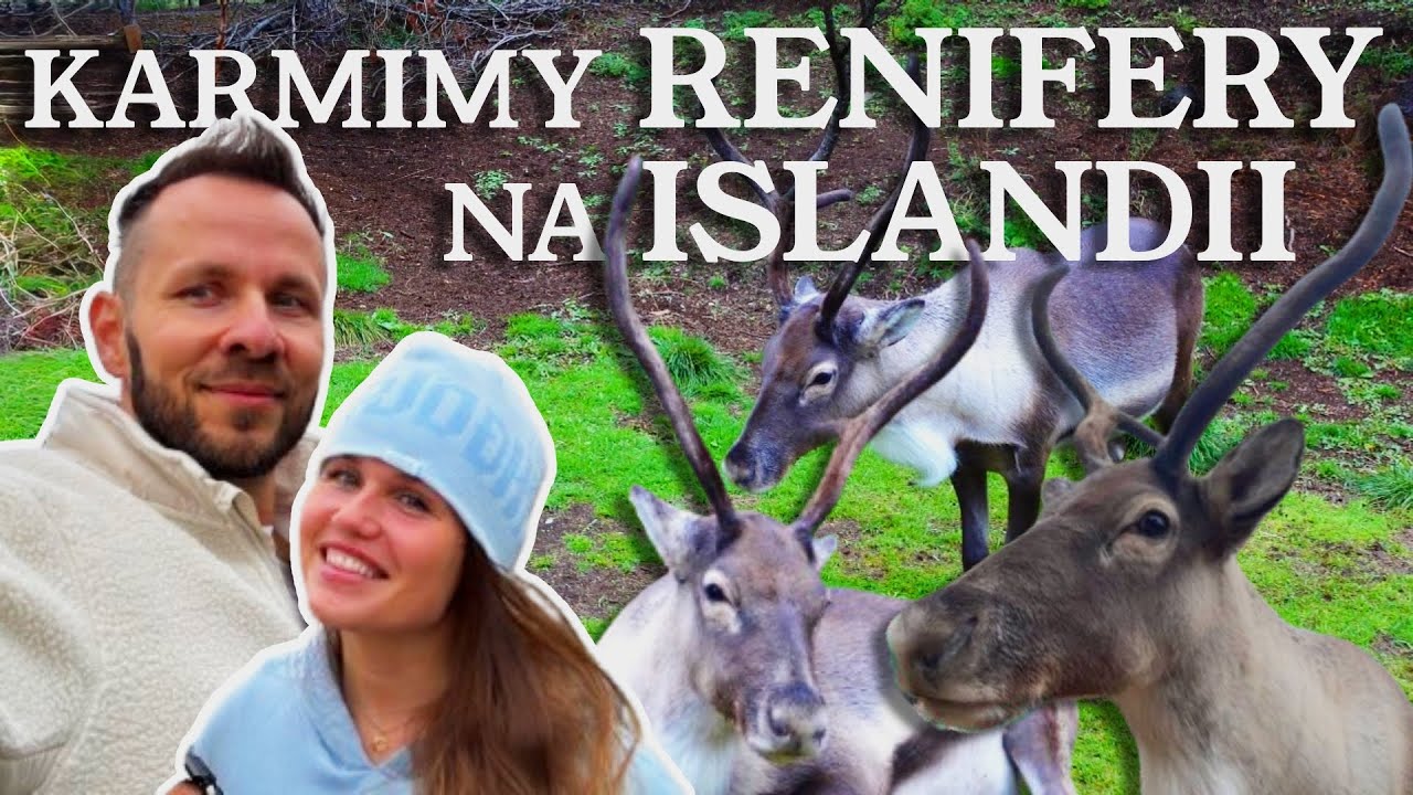 Fiordy wschodnie - Islandia