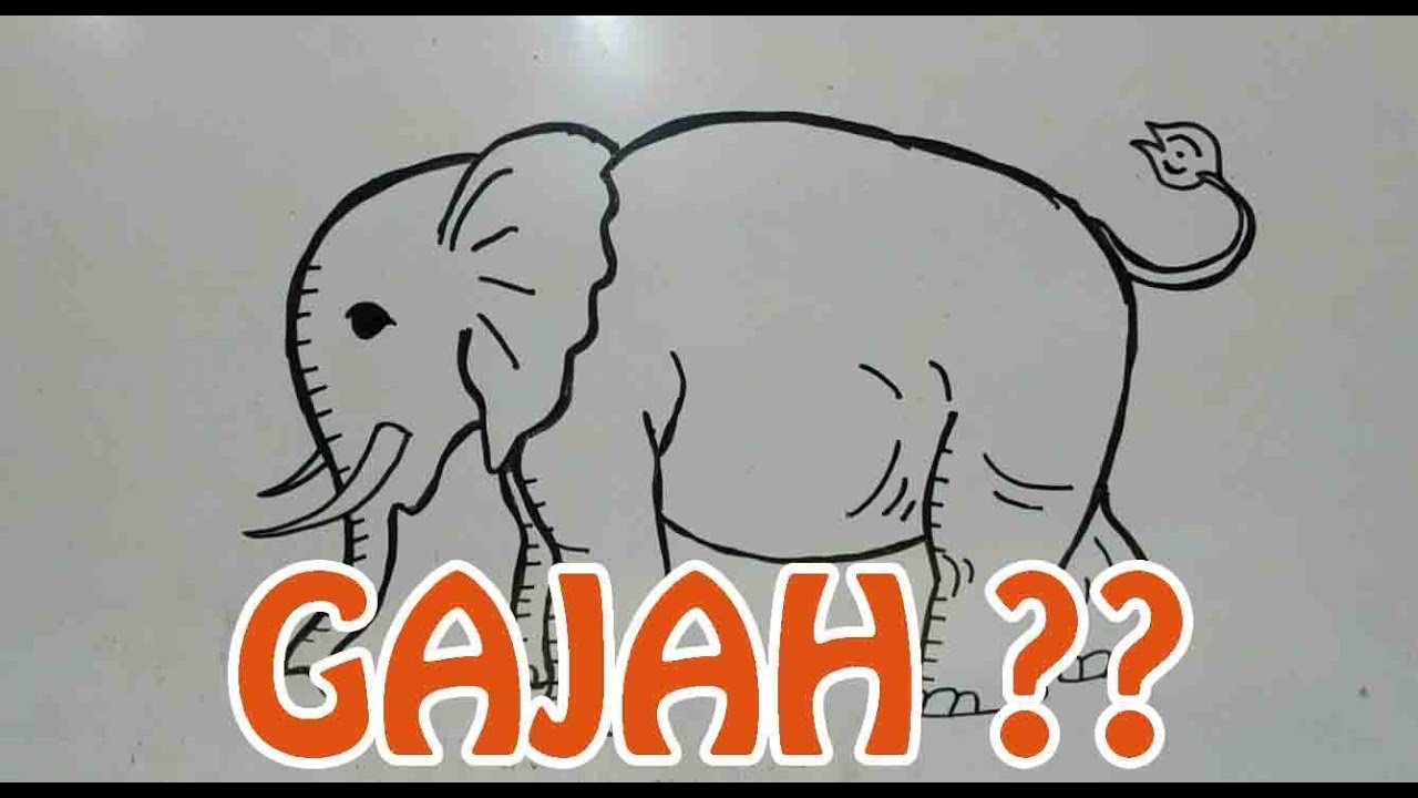 Belajar Menggambar Gajah untuk Anak YouTube