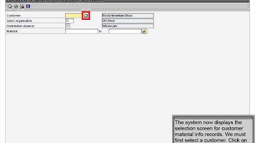 Demo 5.3 Review Customer Material Info Record
