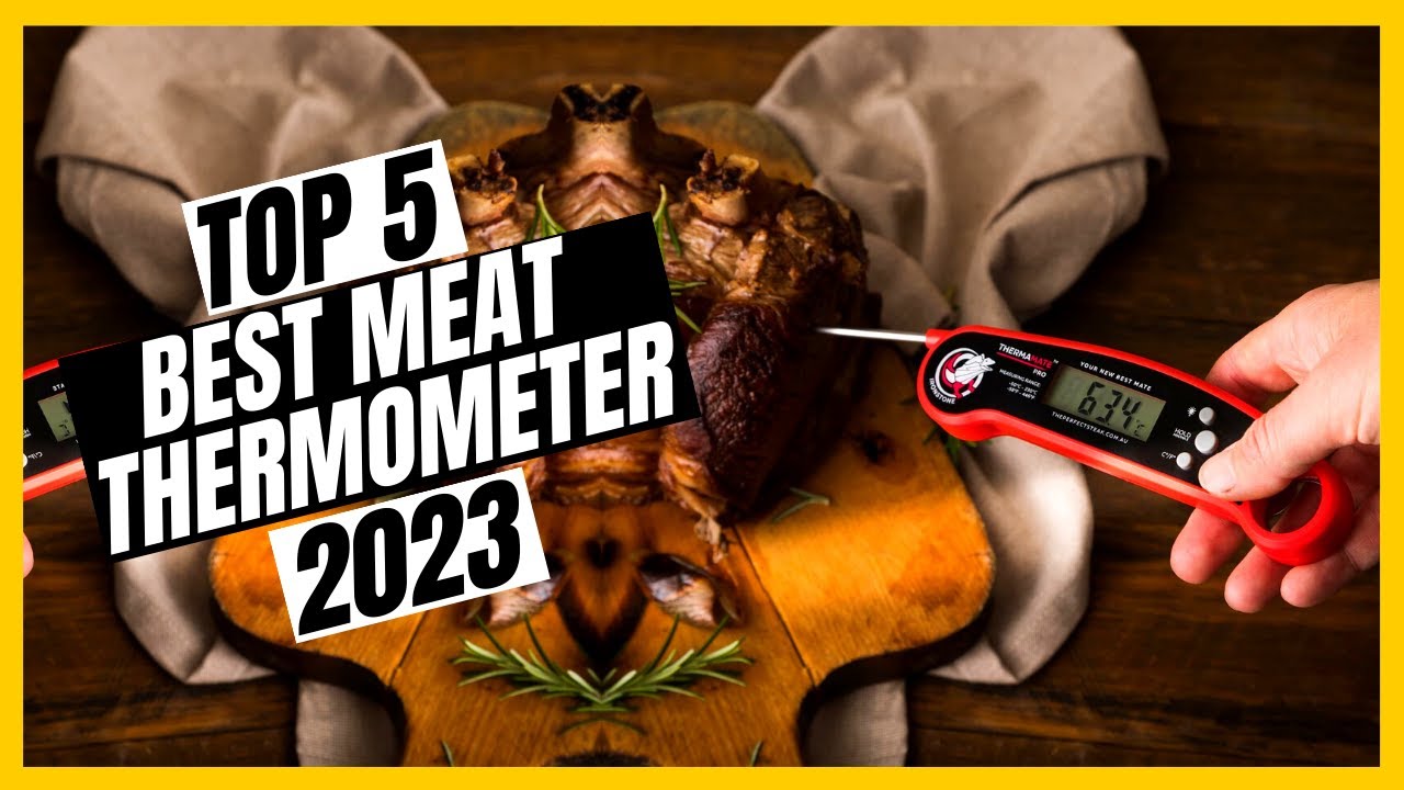 5 Best Meat Thermometers For Kitchen in 2024