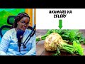 CELERY NYINSHI ZISHOBORA GUTERA INTANGANGABO KUDAKORA NEZA/ ZIRANANURA/ UMVA IBIBI N