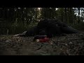 A ROLLERCOASTER of a turkey season - Michigan Public Land