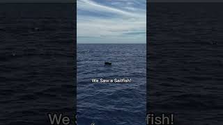 Lovely Sailing to Another Island! #Sailing #travel 3boat