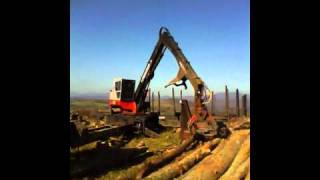 Loading Logs