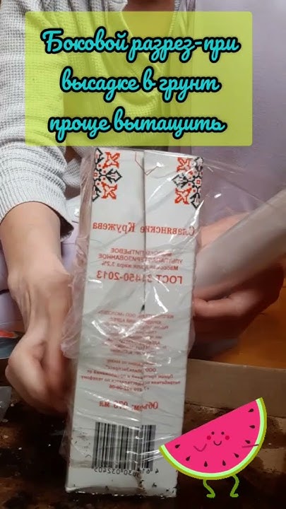 арбуз 🍉 ранний не боится перепадов 👨‍🌾 - YouTube