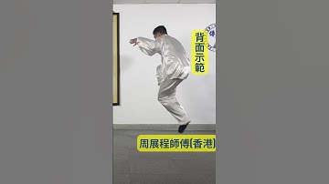 陳式太極背面示範