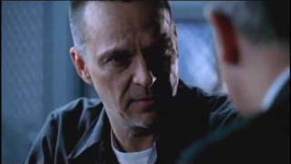 Without A Trace