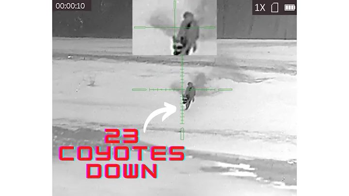 23 Coyotes Down in  2 Minutes | Thermal Coyote Hunting in the Midwest