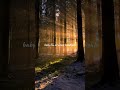 headlights #Alan walker #alok #song # darkside #Sloane