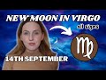 New Moon in Virgo 2023 + Q&A 🍁 Horoscopes | All 12 Zodiac Signs | Hannah’s Elsewhere