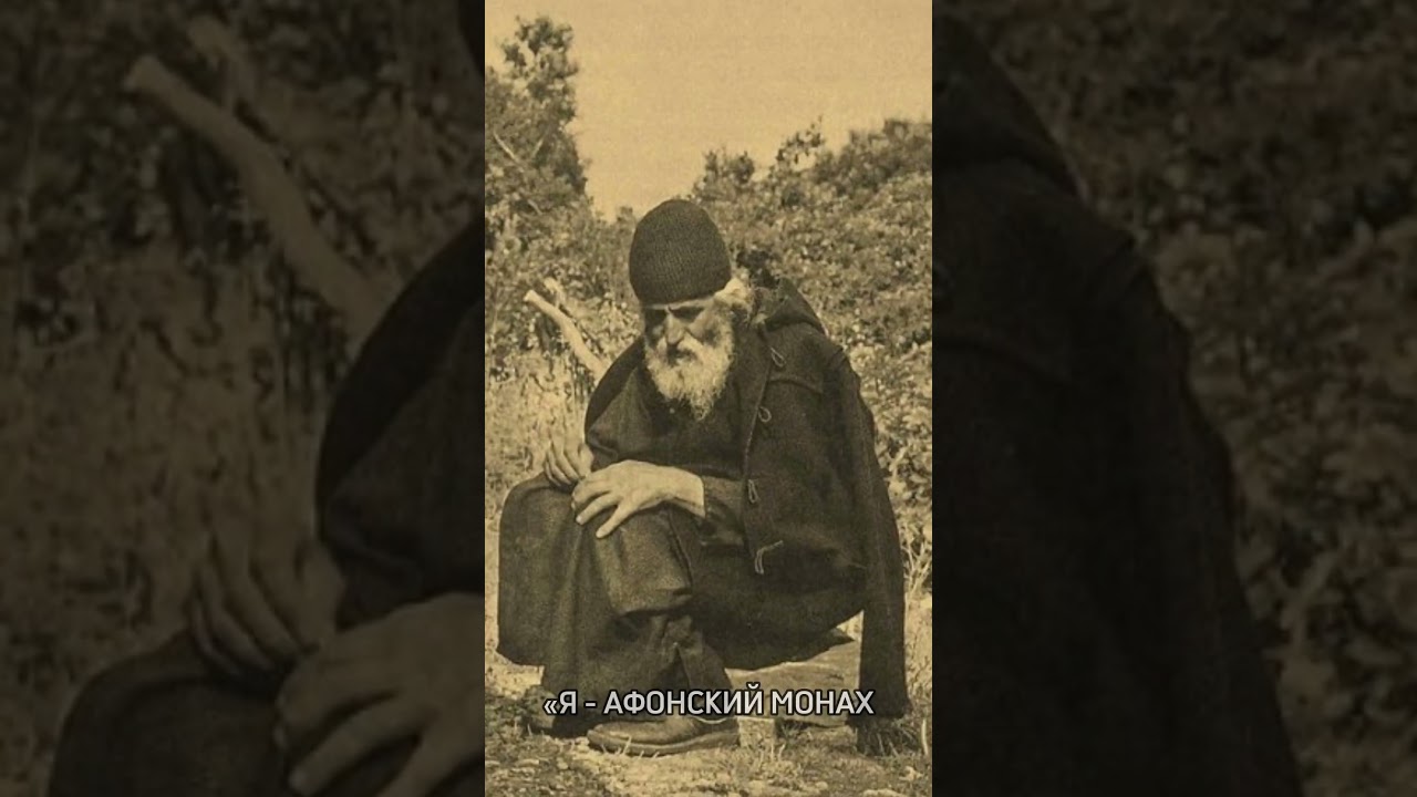 Котенок смирил старца Паисия Святогорца #факты #православие #чудеса #смирение