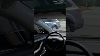 Self-Driving Tesla Vs Old Woman