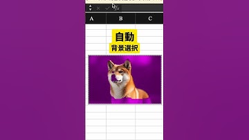 【Excel便利技‼️】画像背景削除 #エクセル #Excel #パソコン #パソコンスキル #スプレッドシート #エンジニア #engineering