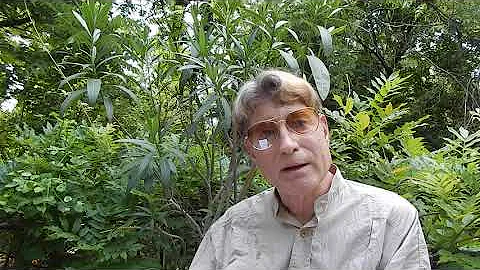 GNSI2020 Semi-Virtual Field Trips with Scott Rawlins