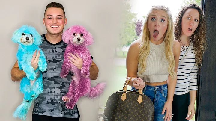 I dyed our dogs hair.. this is my girlfriends reac...