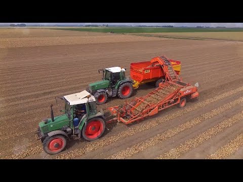 Vídeo: Tecnologia Agrícola Para Cultivo E Armazenamento De Cebolas