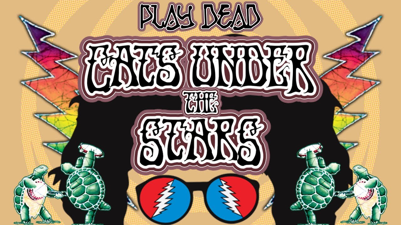 HOW TO PLAY CATS UNDER THE STARS Grateful Dead Lesson