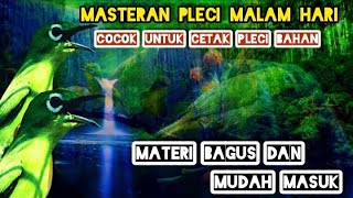 Masteran Pleci malam hari Nembak panjang‼️ materi mudah Masuk dan gampang di tiru‼️Sangat cocok