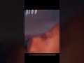 لعبه صوت البطه القديمه لعبه صوت البطه القديمه