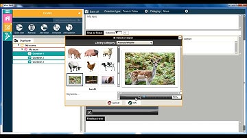 Building exams for an eLearning course: Getting started with the Vivo authoring tool
