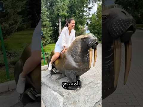 مانفي تبحث عن حيوان يوصلها للبيت والمفاجأة في النهاية 