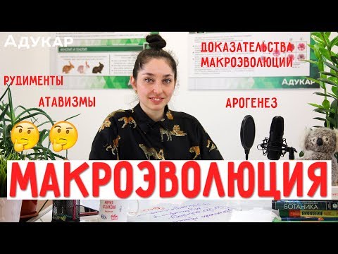 Макроэволюция и ее доказательства | Биология ЦТ, ЕГЭ