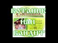 👱 БОТАНИК ИЛИ БАНДИТ 👦детский аудио журнал "СВЕТИЛЬНИК"№13 (Благотворительный фонд "Дом Тепла")