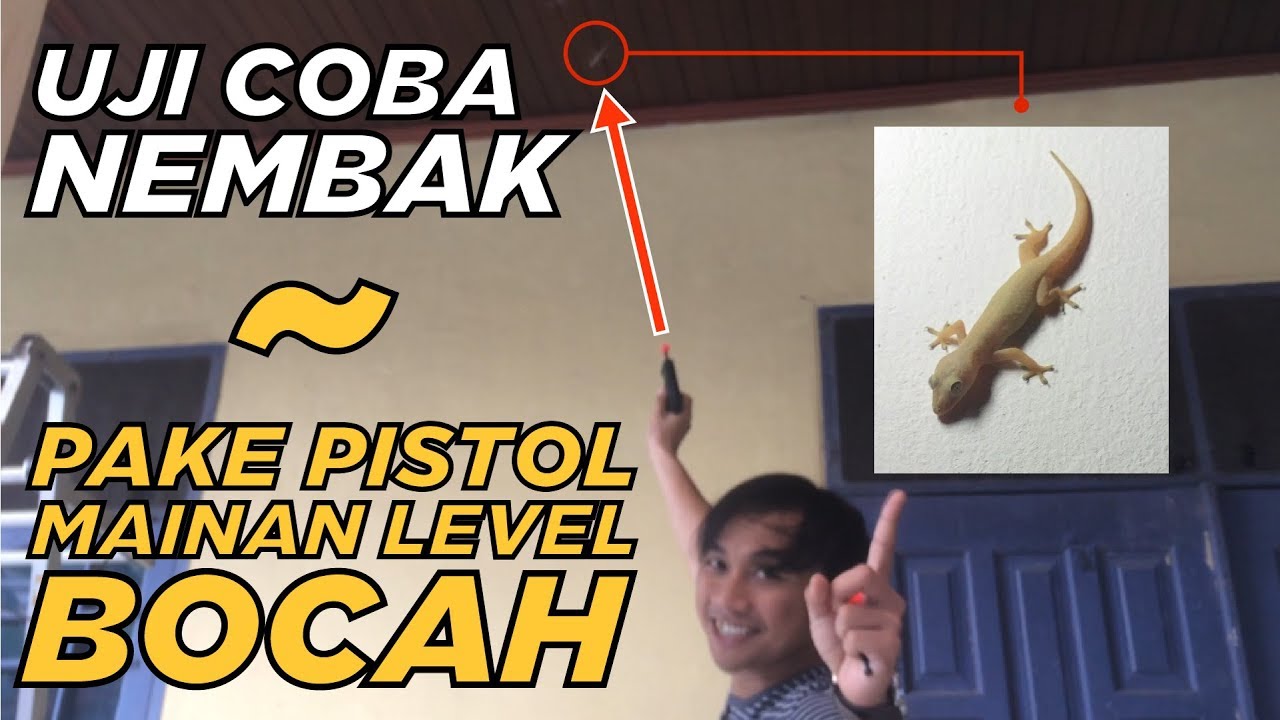 CARA MENEMBAK CICAK YANG BAIK DAN BENAR ! 