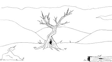 CSSSA Animation Application 2017 (Accepted)