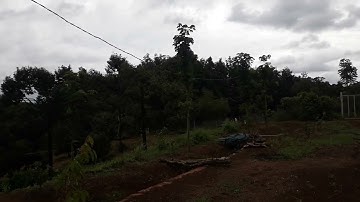 bán đất tại xã đăk ru huyện đăk r lấp tỉnh đăk nông lh em gửi sổ và vị trí ạ 0363617492