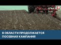 Начался посев сахарной свеклы | Новости Гродно. 05.04.2022